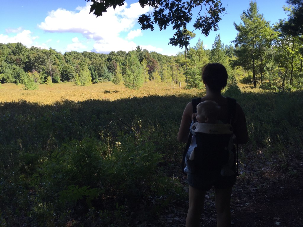 Hike