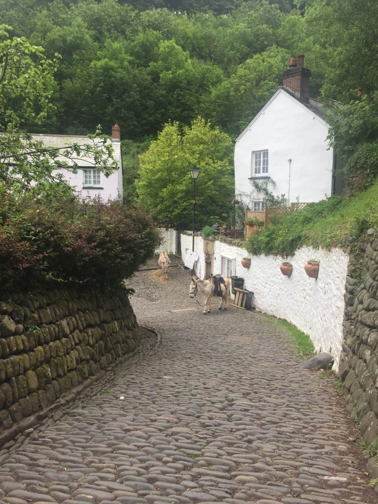 Meşhur Clovelly eşekleri